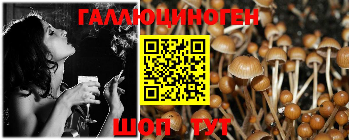 Галлюциногенные грибы мицелий Октябрьский